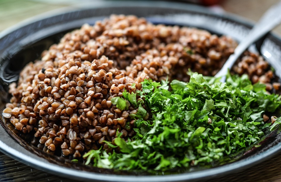 plant based meals